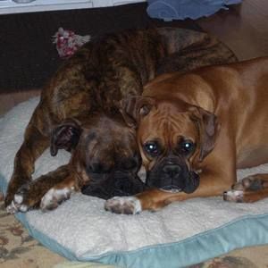 Meet your Posher, Cheryl